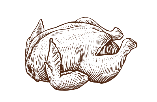 Sketch illustration of a roasted chicken carcass in brown ink