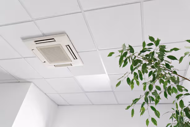 Ceiling-mounted air conditioning unit next to green leafy plant