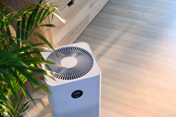 Air purifier with fan near green plant on wooden floor