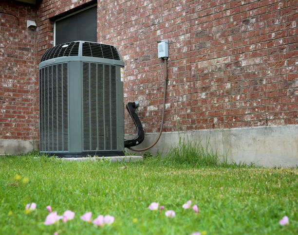 Air conditioning unit outside brick house on green lawn with small flowers