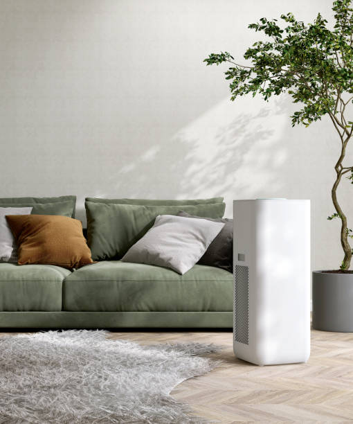 Green sofa with pillows, air purifier, and potted tree in minimalist room