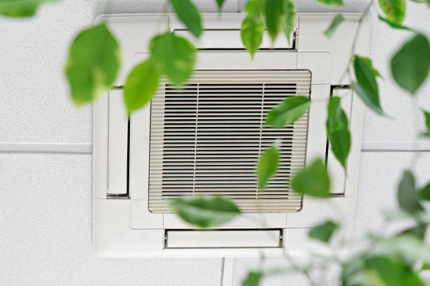 Air vent surrounded by blurry green leaves on a white wall