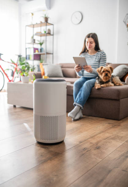 Woman sitting on couch with dog, using tablet near air purifier at home