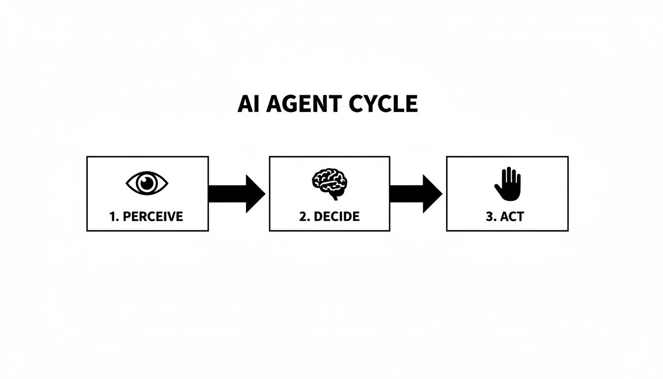 A simple flowchart illustrates the AI Agent Cycle: 1. Perceive (eye), 2. Decide (brain), 3. Act (hand).