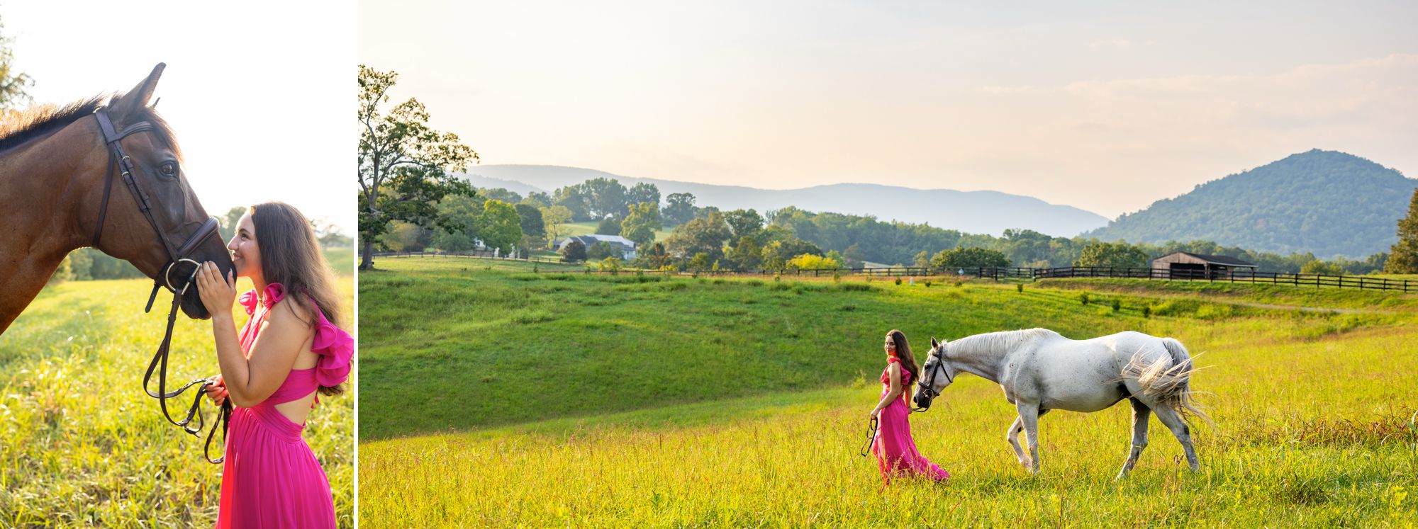 A high school senior taking her portraits with her horse in a field during golden hour in Charlottesville, Virginia