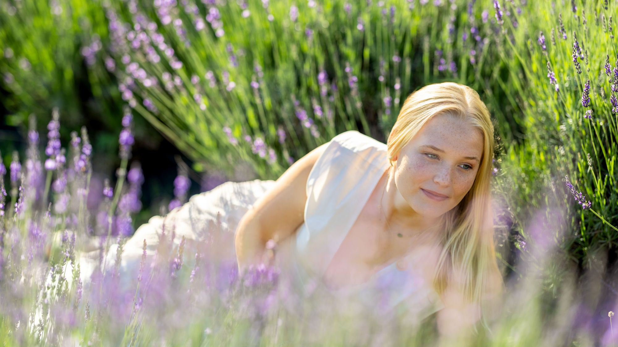 High school senior girl lying in a lavender field for her senior photos in Charlottesville, Virginia