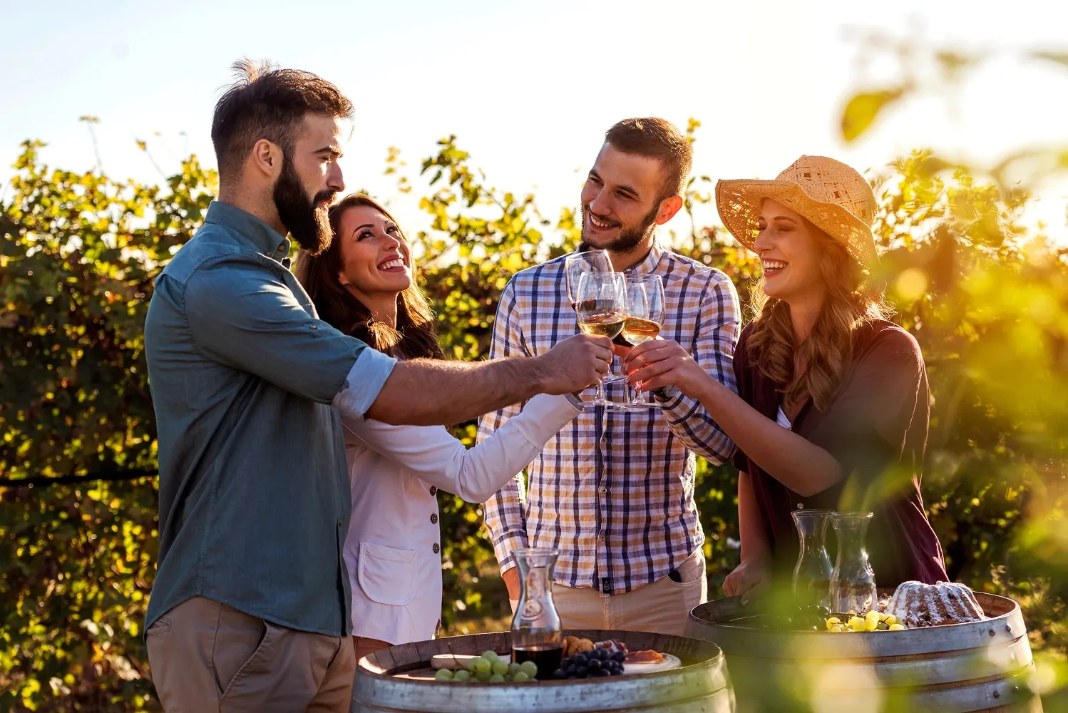 Group tour Napa Valley