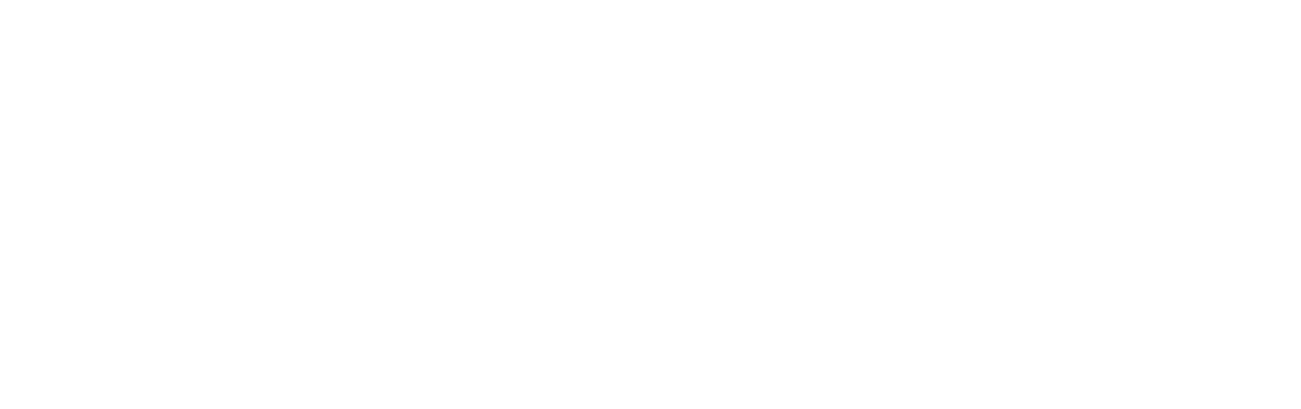 Star-like logo of NOTALONE Ventures