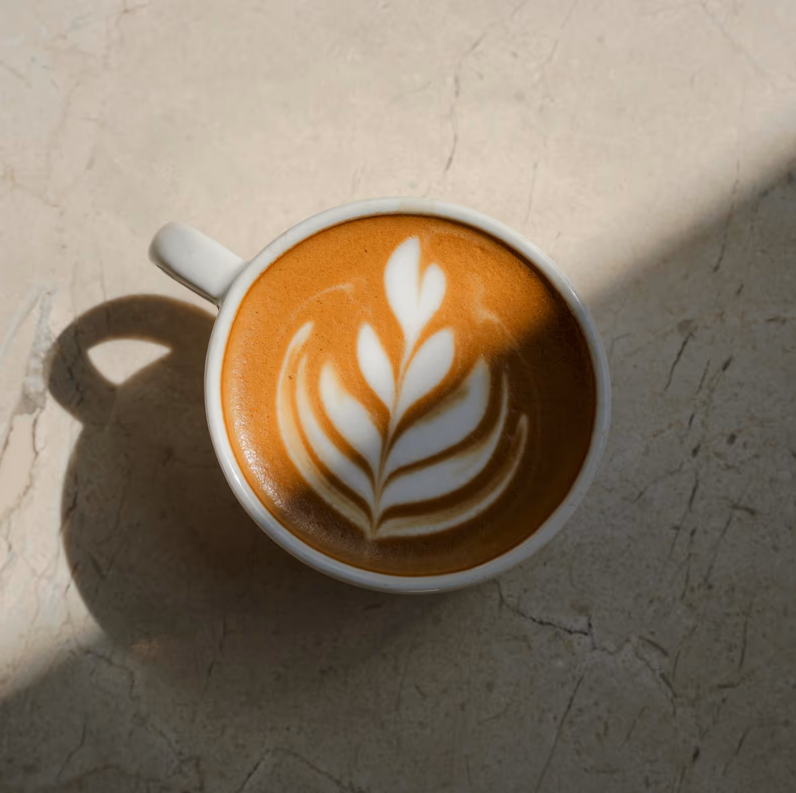 Blackout Coffee - West Bay