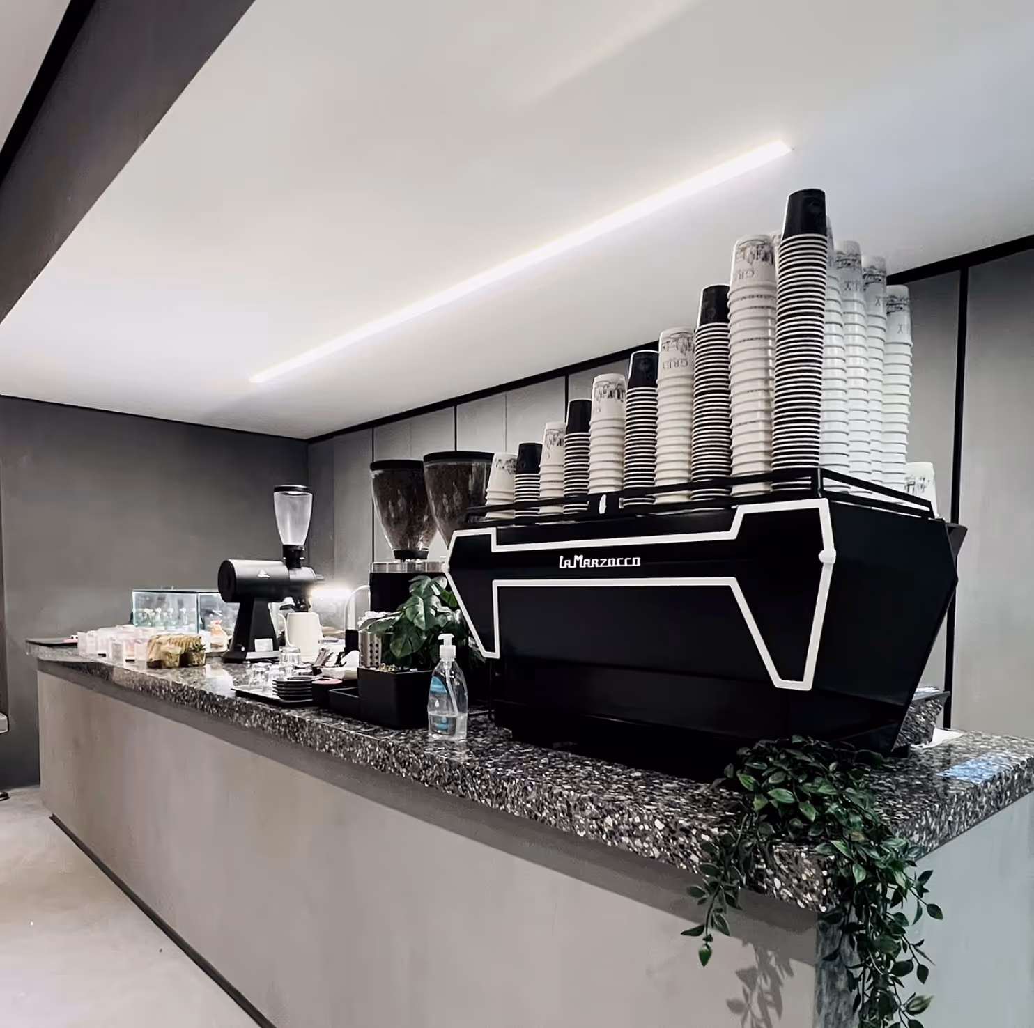 Grey Specialty Coffee - Gewan Island