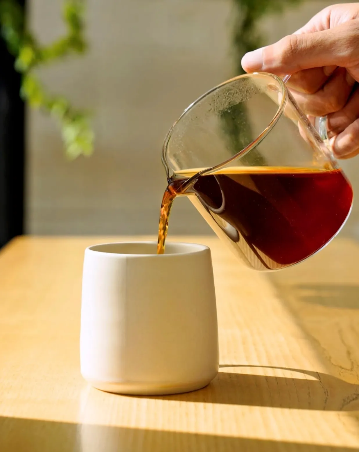 Earth Roastery - Qatar Foundation