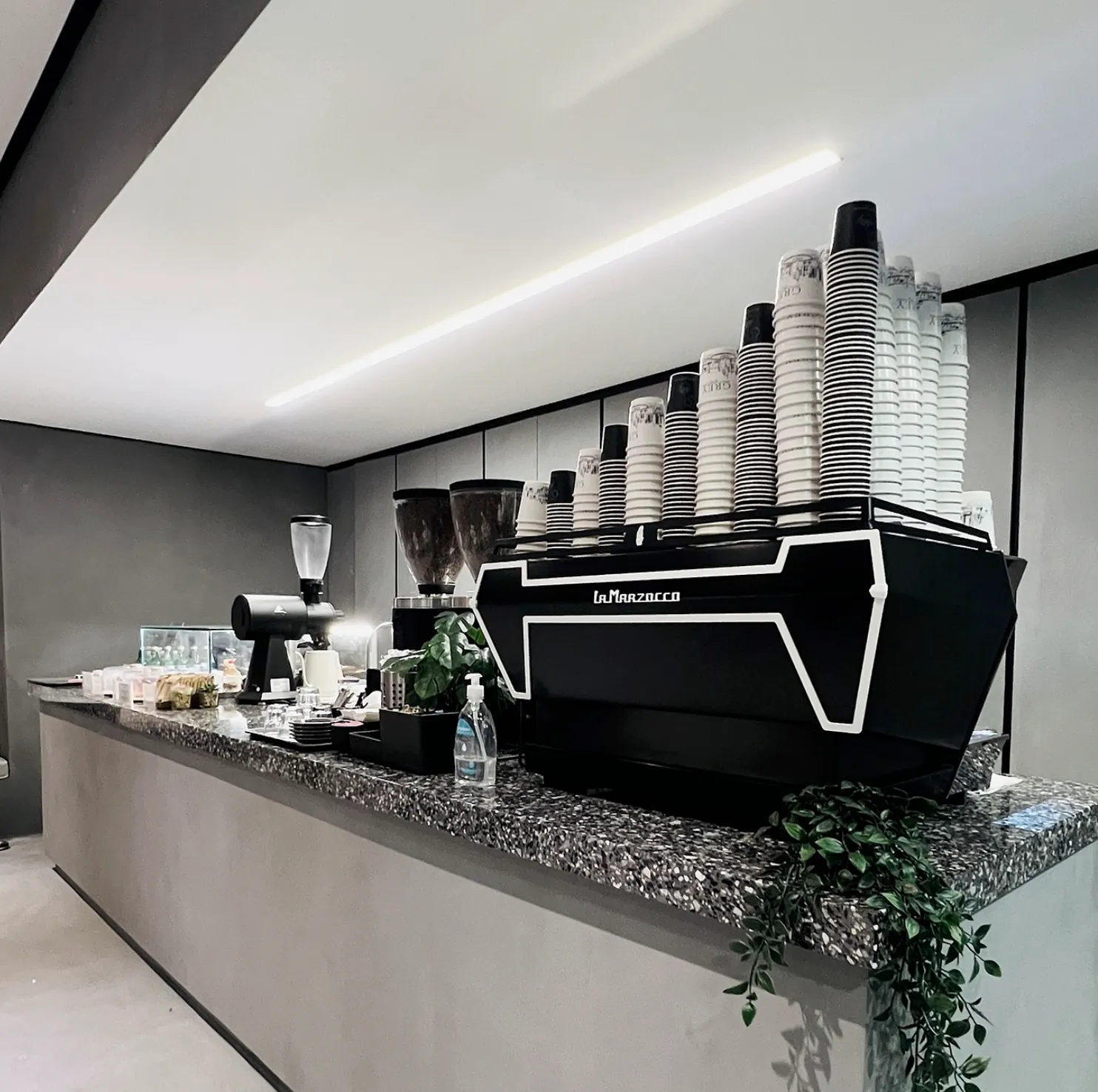 Grey Specialty Coffee - Gewan Island