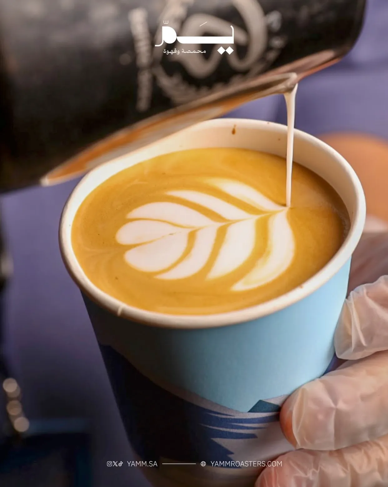 Yamm Coffee Roasters - Ash Shifa