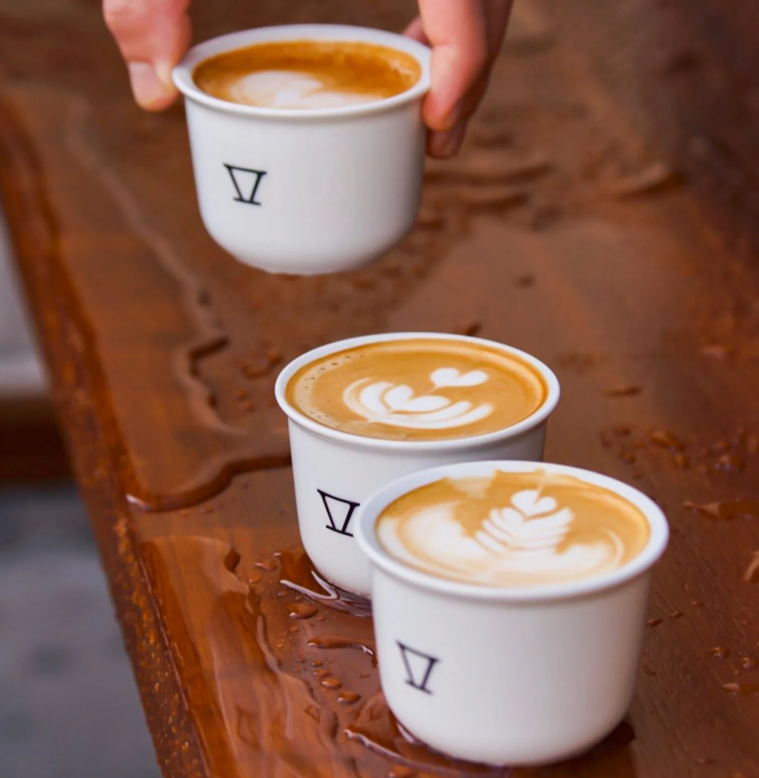Pourover Modern Coffee