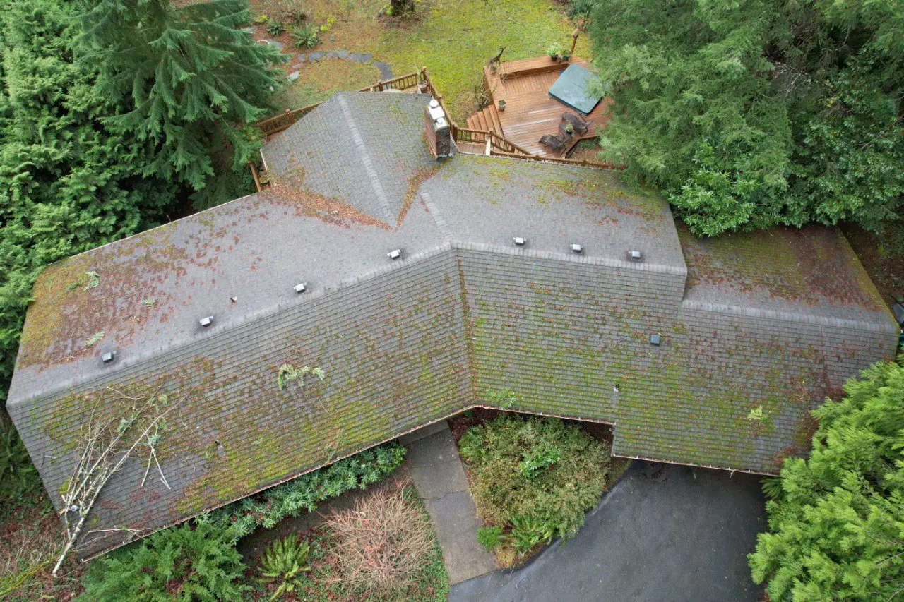 Aerial view of a moss-covered shingle roof surrounded by trees, showing signs of neglect and organic growth due to lack of roof maintenance.