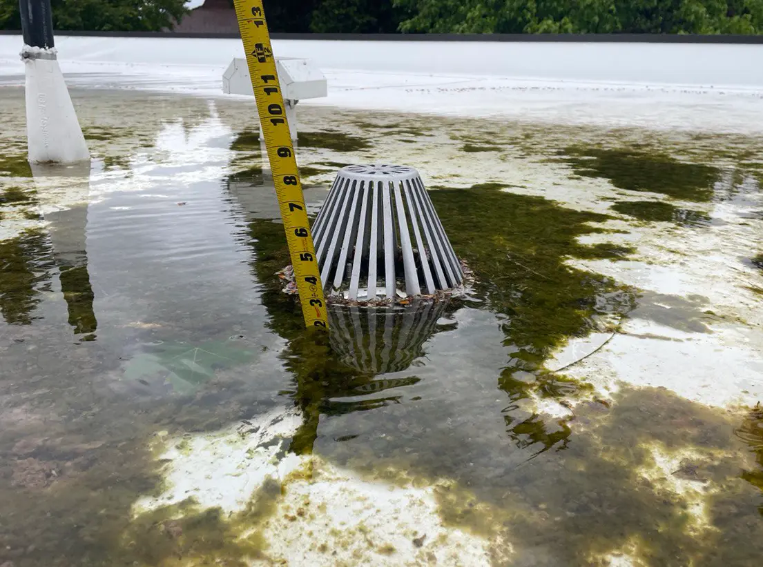 Standing water on flat roof due to clogged drain.