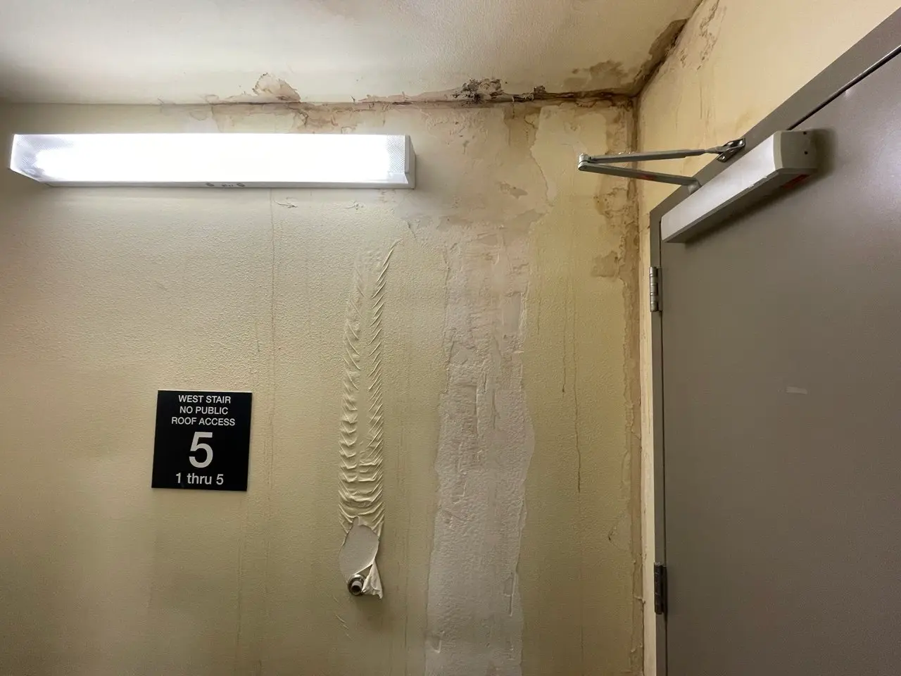 Leaks and Water Stains on wall.