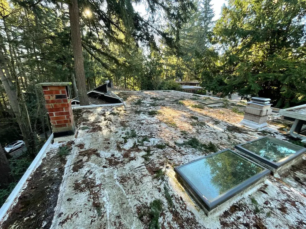 Flat roof surrounded by trees, showing heavy moss, organic debris buildup, and deteriorated membrane, highlighting poor roof maintenance and the need for cleaning and repairs.