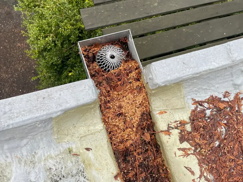 Drainage Issues on flat roof, clogged drains and catcher box.