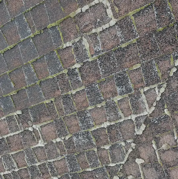 Granule loss on shingles roof.