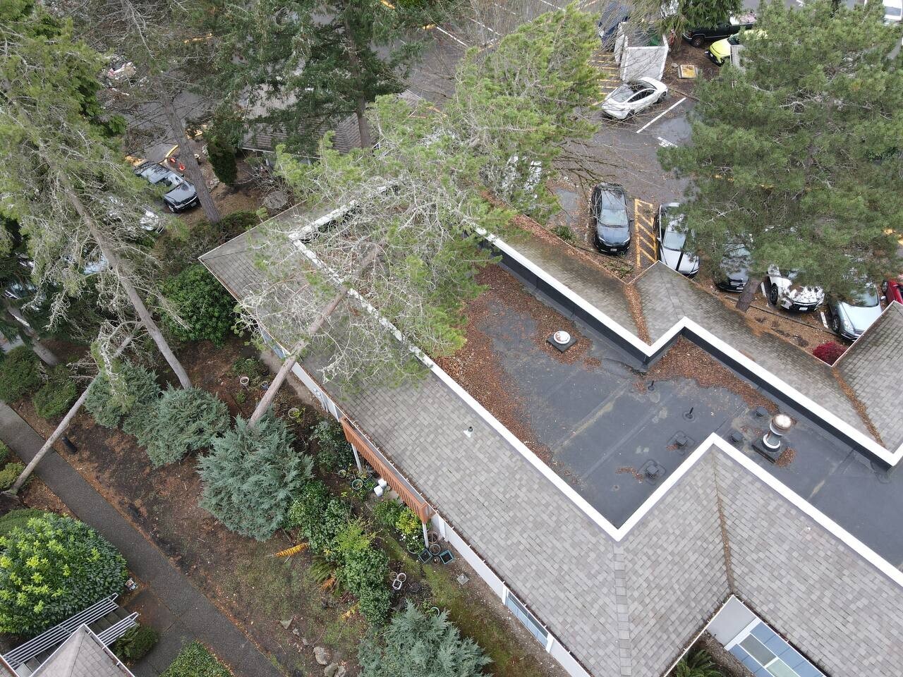 Aerial view of commercial building with flat and shingle roofing, showing roof debris buildup and a fallen tree leaning against the structure—highlighting urgent need for roof inspection and storm damage assessment.