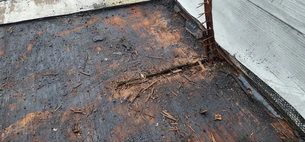 Exposed and rotting roof decking with deteriorated underlayment, showing structural failure due to moisture infiltration on a flat roof system.