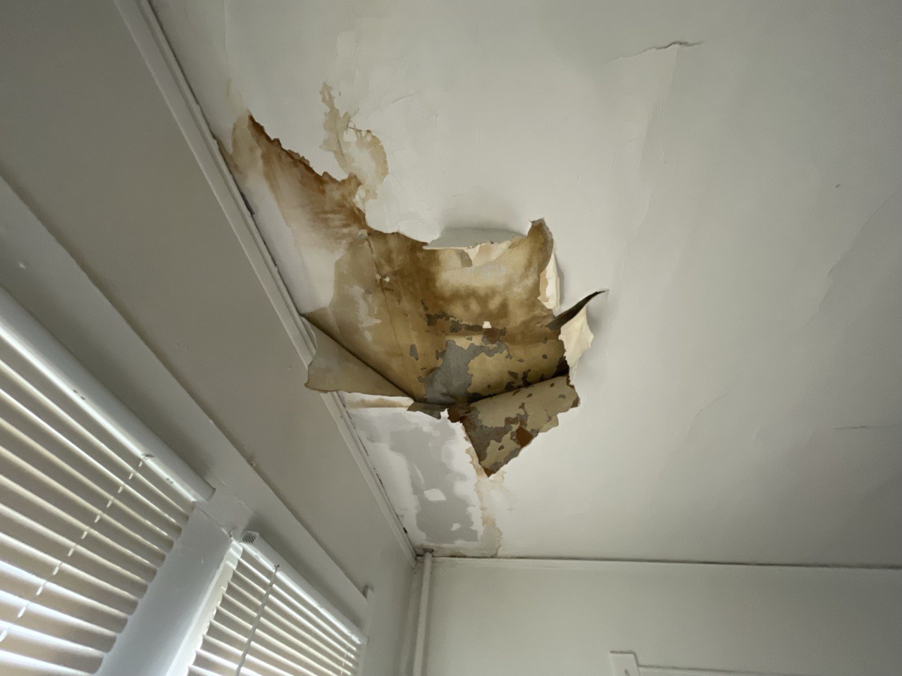 Severe water damage on an interior ceiling, showing peeling paint, collapsed plaster, and large brown stains caused by long-term roof leaks.