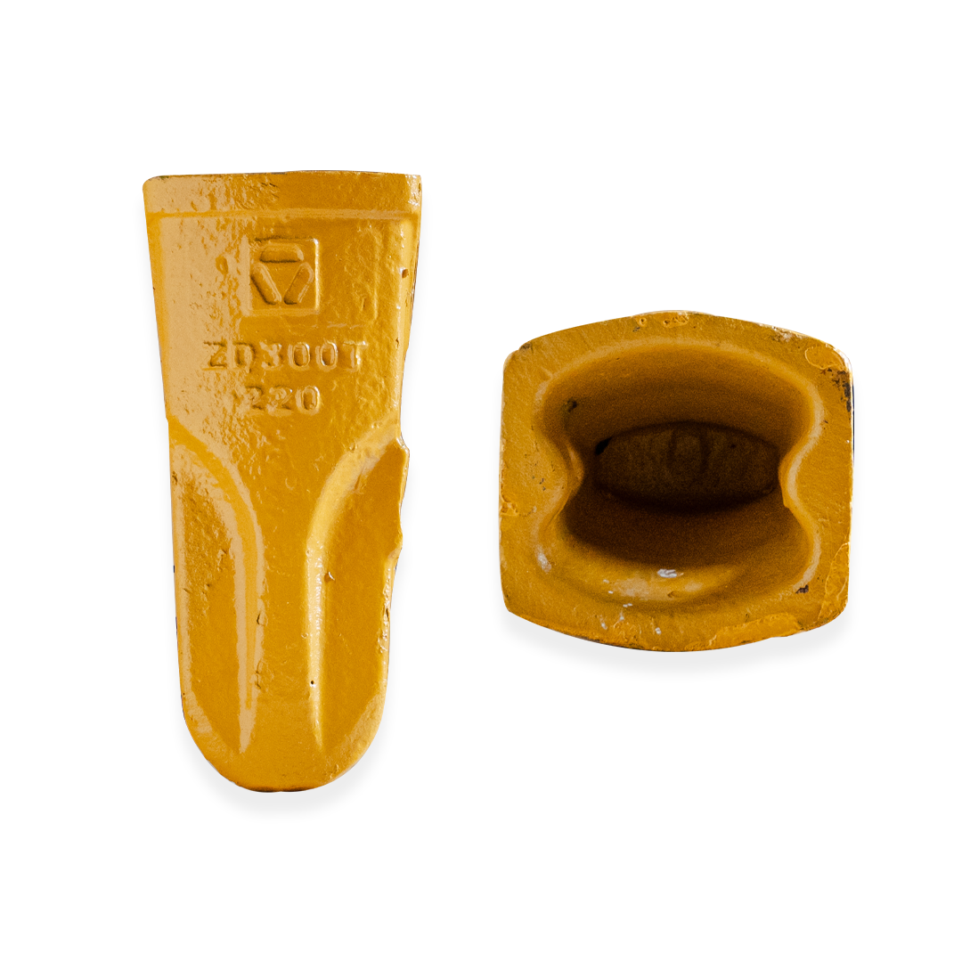 ฟันบุ้งกี๋ Tooth