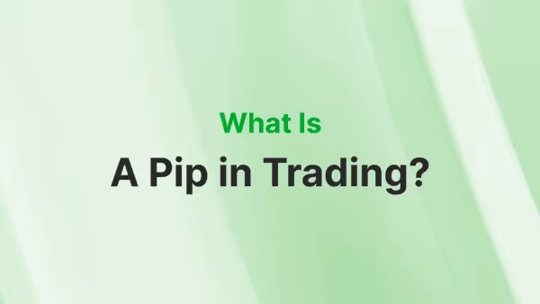What is a pip in trading?