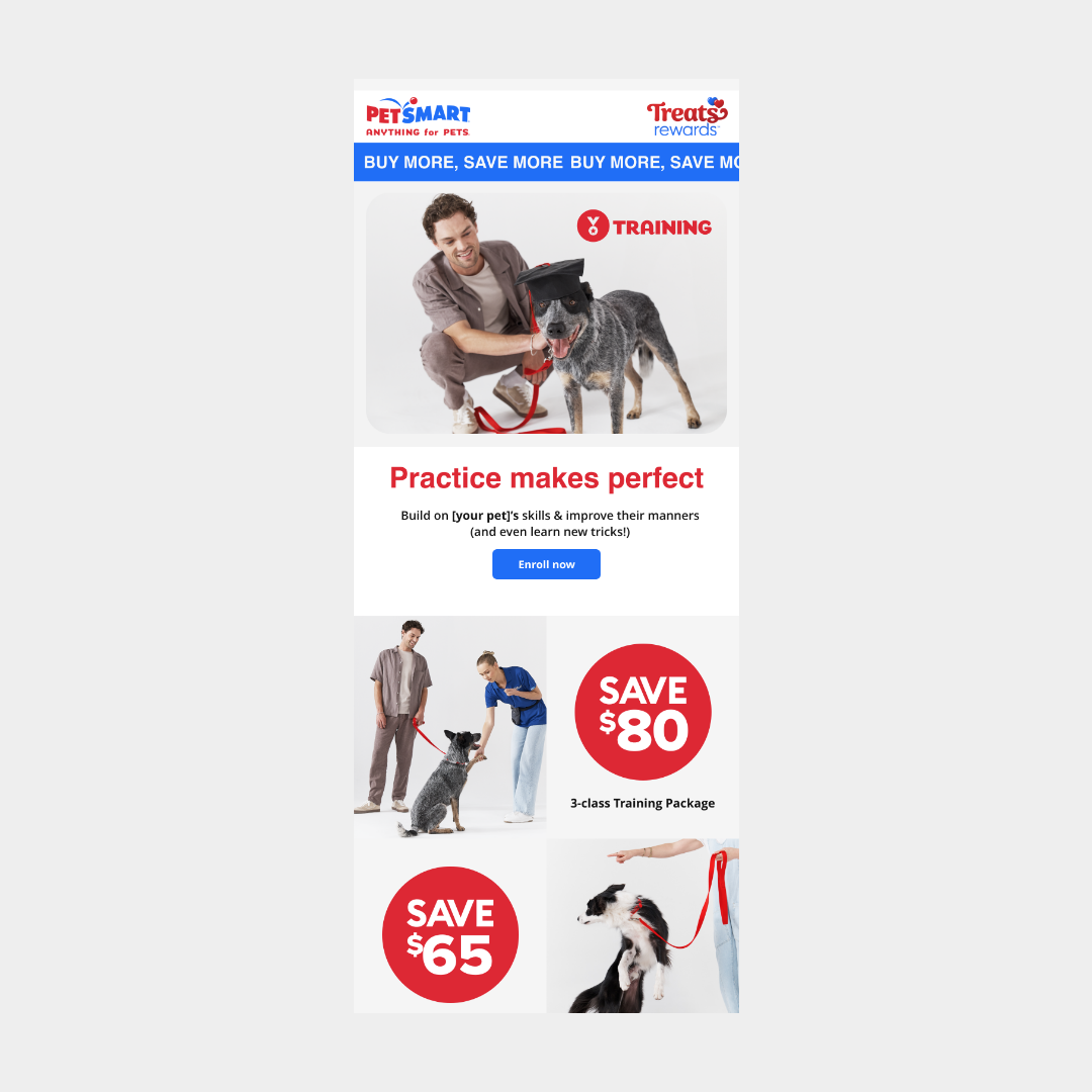 PetSmart Email System