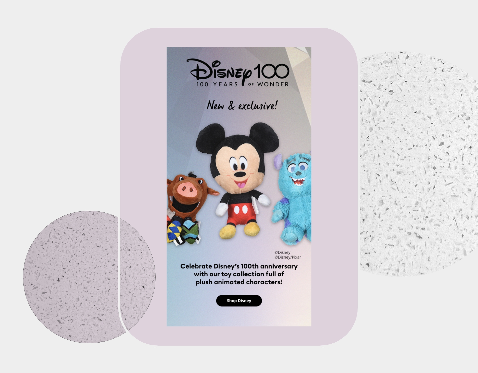 Disney 100 x PetSmart 