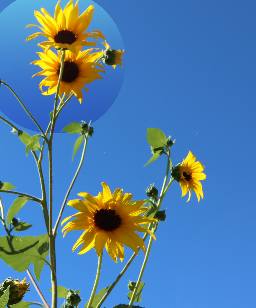 White Space Isn’t Empty—It’s Working