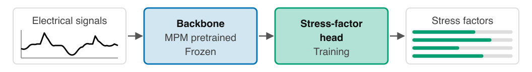 Stress-factor head training figure