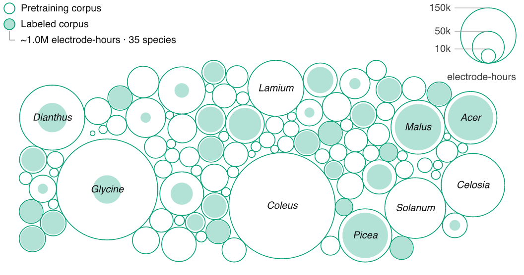 Labeled corpus inside pretraining corpus figure