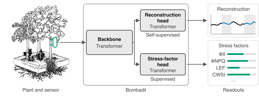 System overview figure