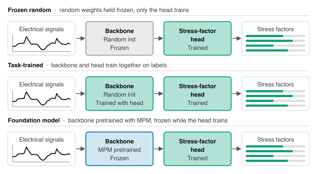 The three backbone training schemes figure