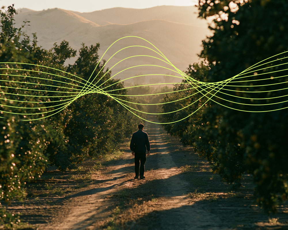 Orchard rows at golden hour with plant electrical signal waveform overlay