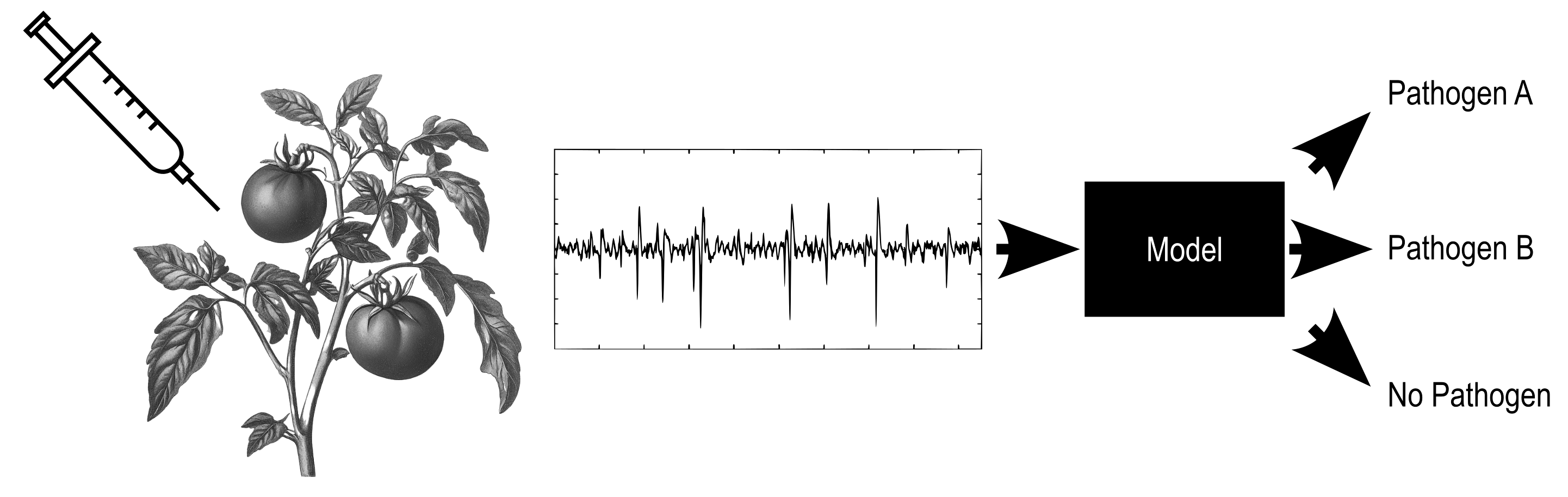 Multi-class classification of plant electrical signals by pathogen