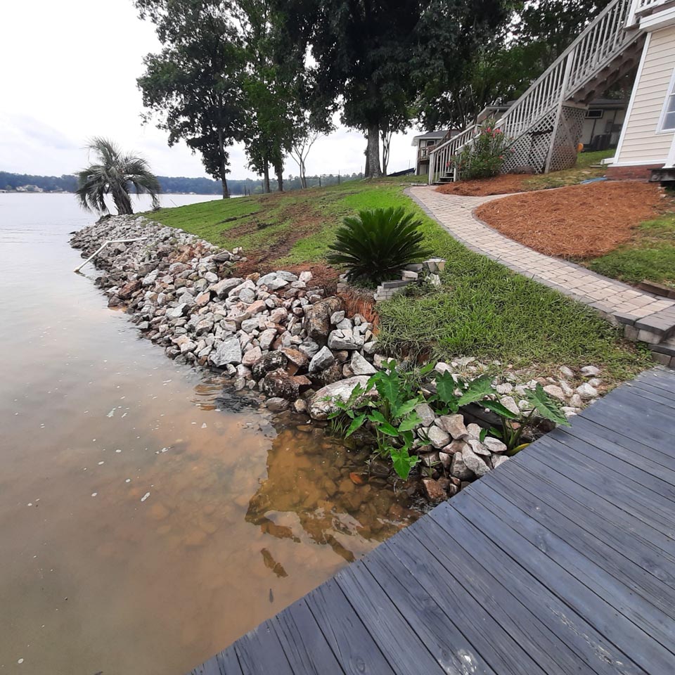 A shoreline with weeds and dirty rocks.