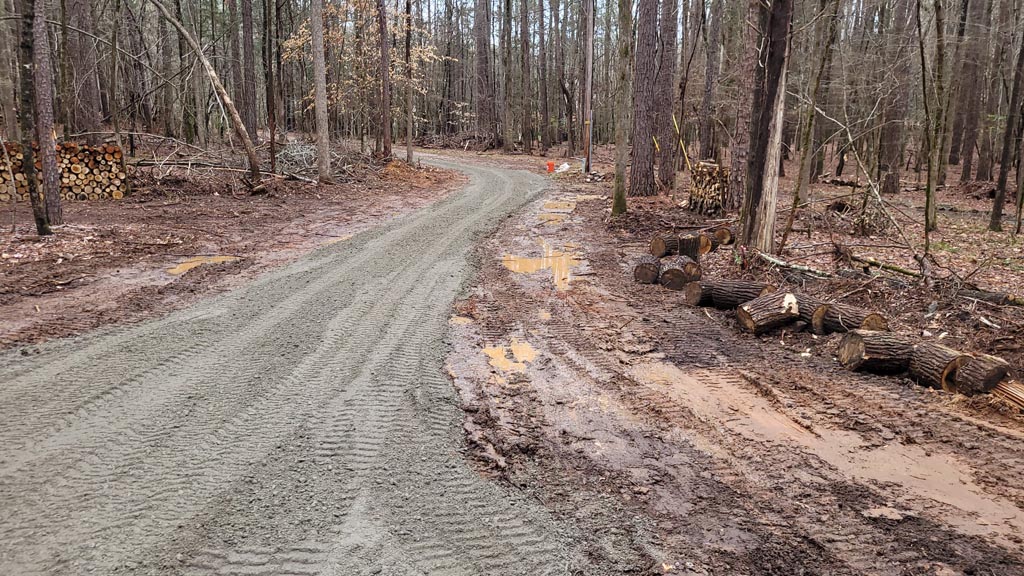 A brand new gravel road installed through a forested lot.