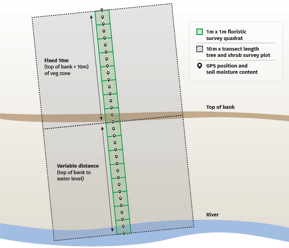 Illustration with a top bank half way across the image and river at the bottom, and a series of joined together boxes of the same size running from the top of the image, across the top bank to the river.