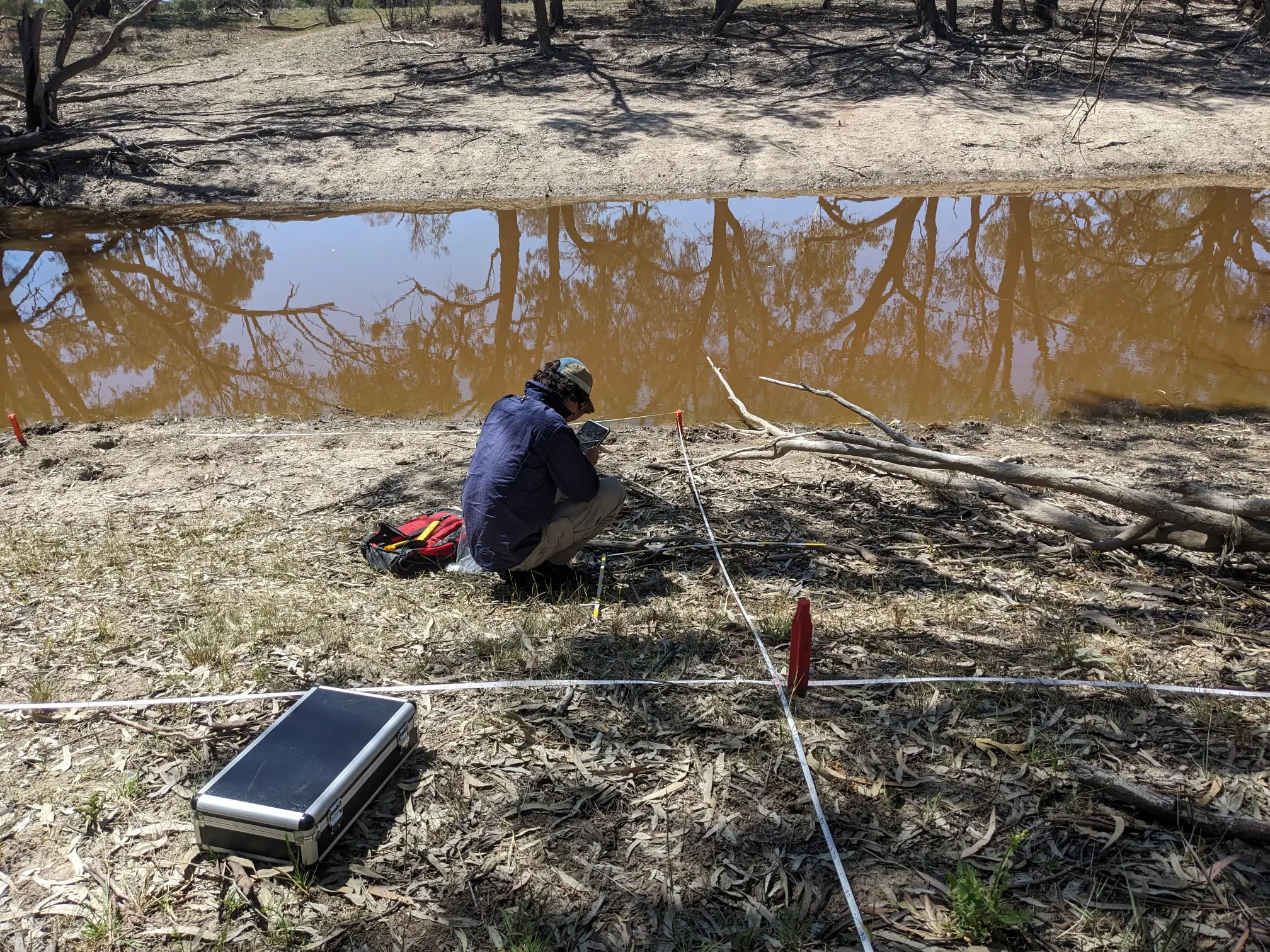 During vegetation surveys, transect tape is used to mark out contiguous 1x1m quadrats (Image credit: Megan Powell).