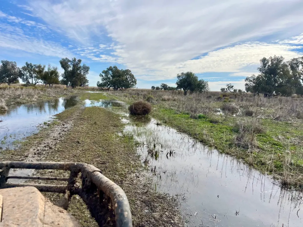 Partial view of the front of the all-terrain vehicle as it drives through muddy water.