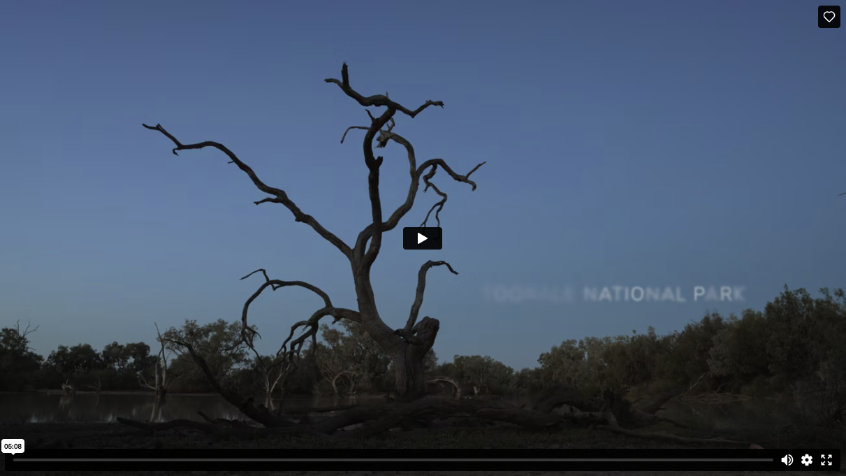 A film showcasing the beautiful Warrego Western Floodplain