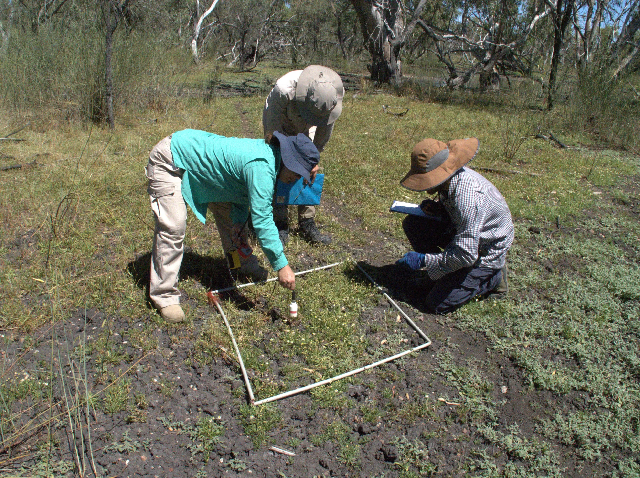 Three people looking down at a section of ground within a white square.
