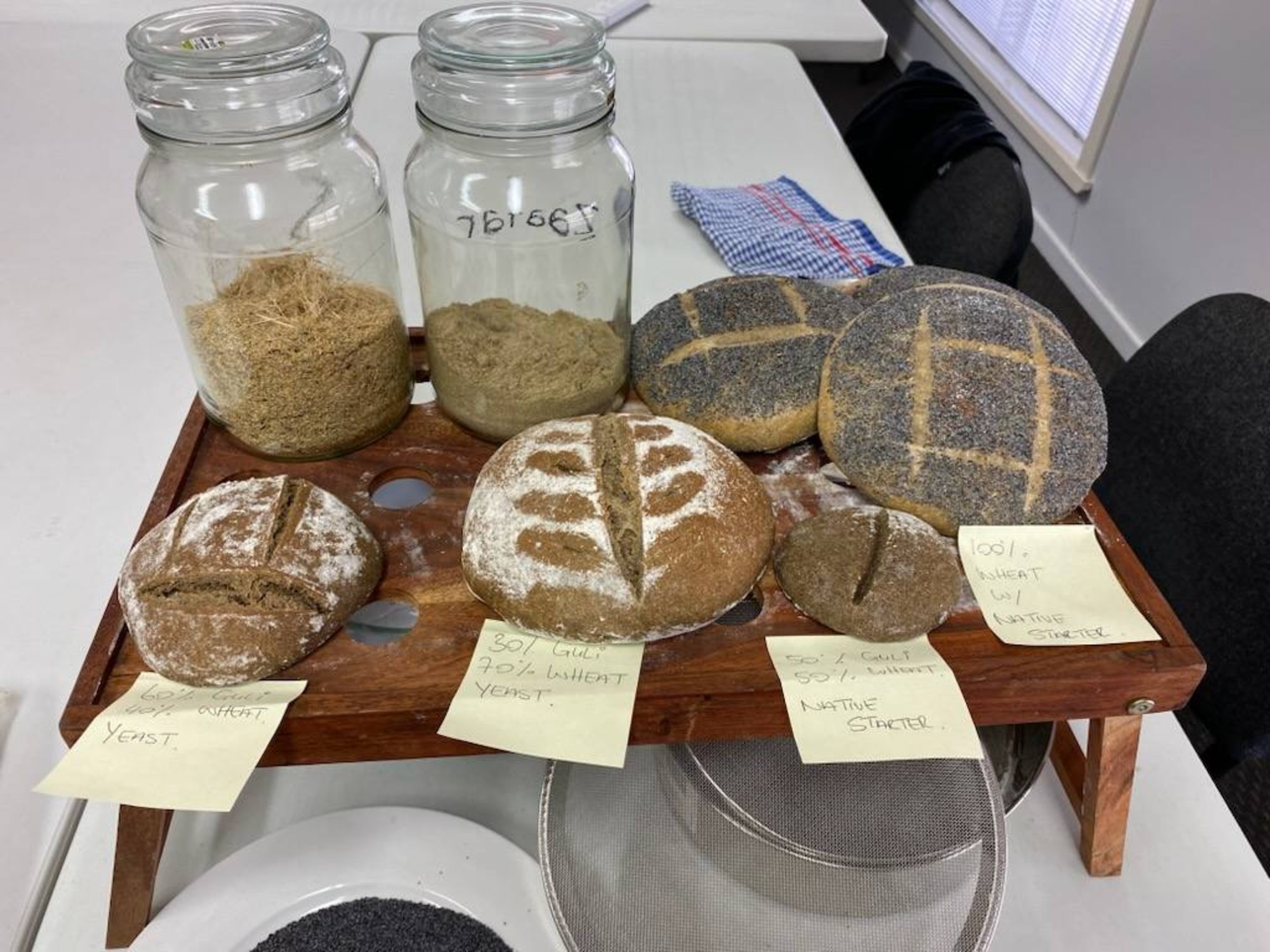 Bread made with guli and wheat to see what tastes good, in Moree, NSW. Kerrie says the 60% guli is best. Photo credit: Kerrie Saunders