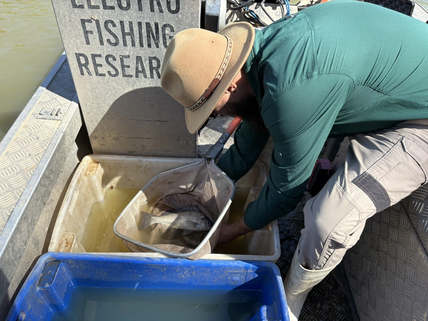 Charles Sturt University field researchers working with Nature Glenelg Trust electrofishing team. Photo credit: Chris Sundblom