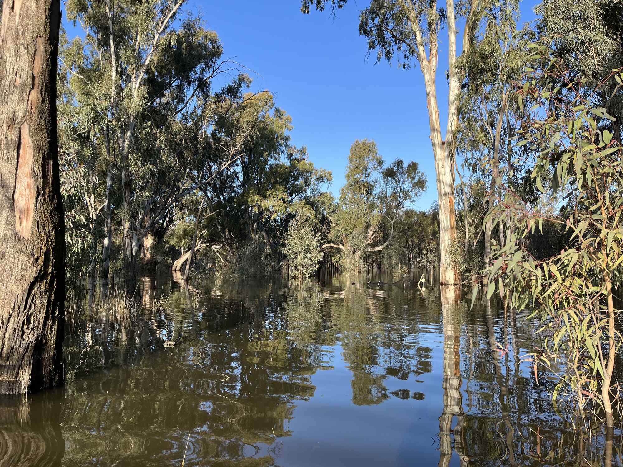 Yarradda Lagoon shown full of water in September 2022.