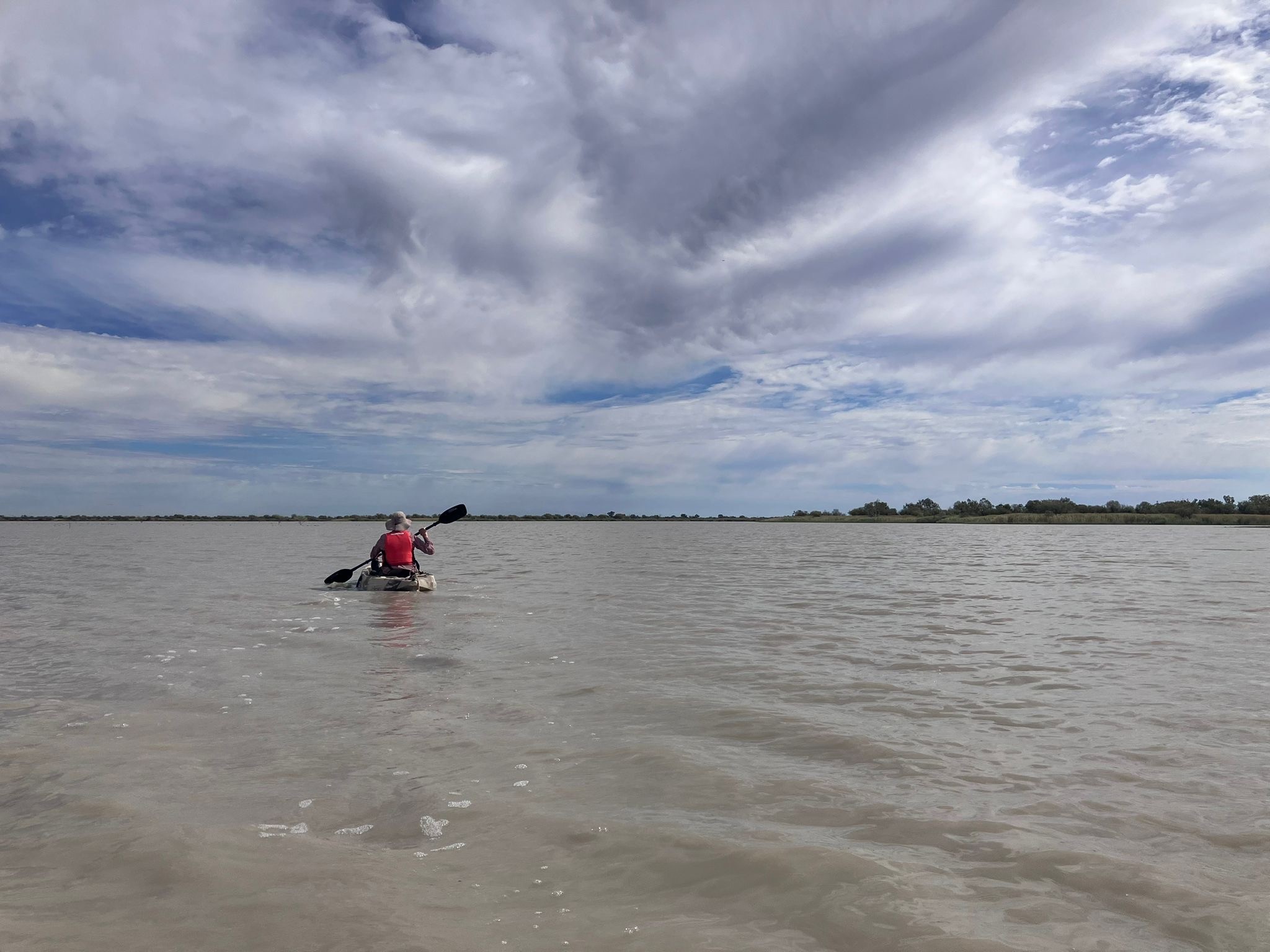 Most survey sites, including Clear Lake (pictured), were inundated at the time of the surveys. However, the water was quite shallow, reaching a maximum depth of about 30cm. Photo credit: NSW DCCEEW