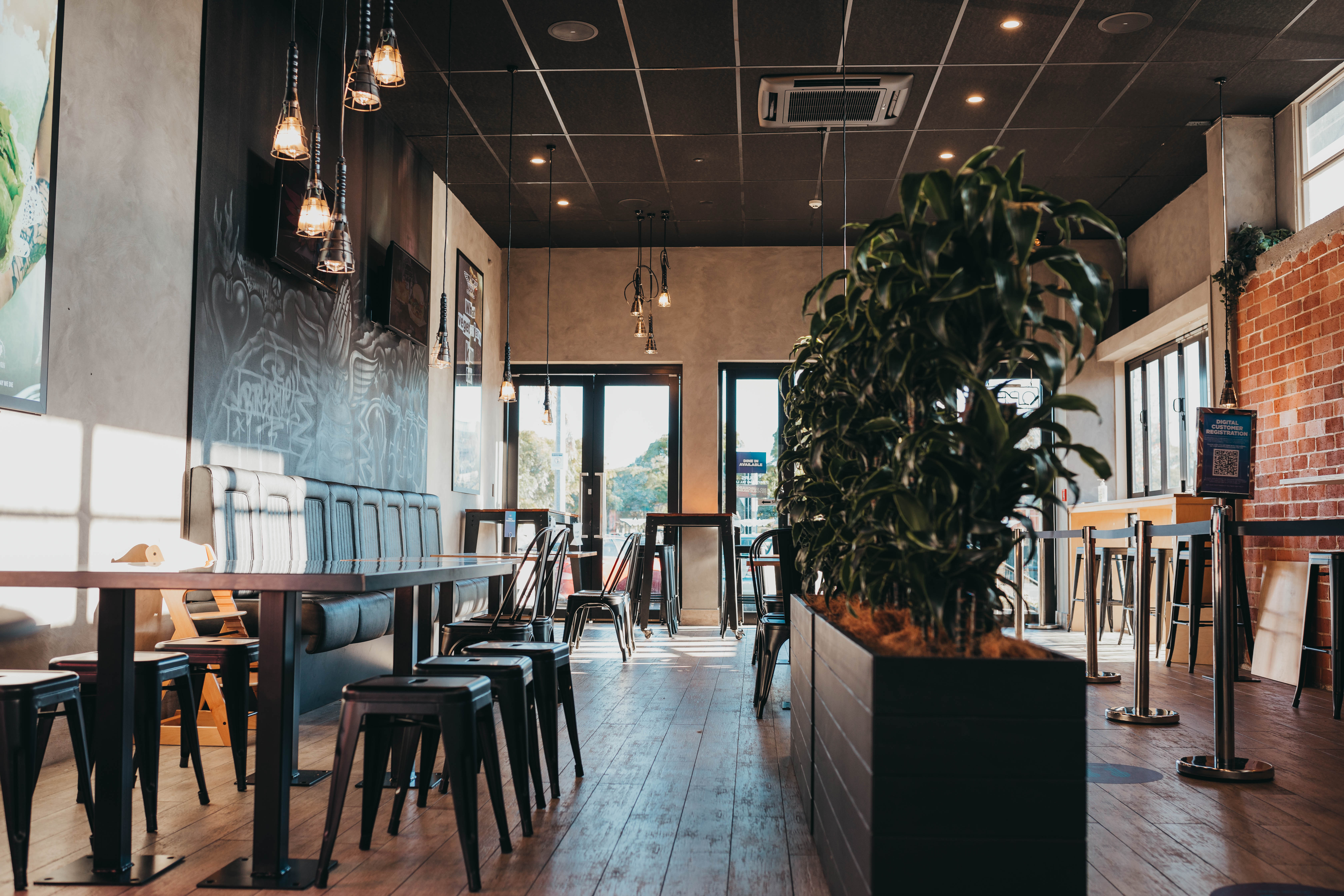 BurgerFuel Point Chevalier interior